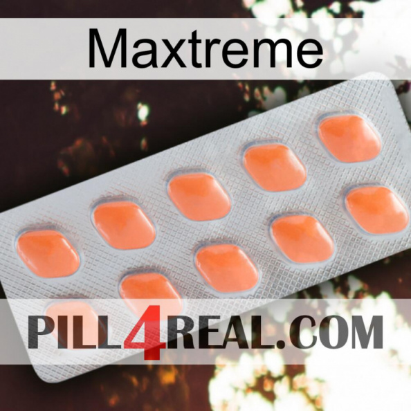 Maxtreme 26.jpg